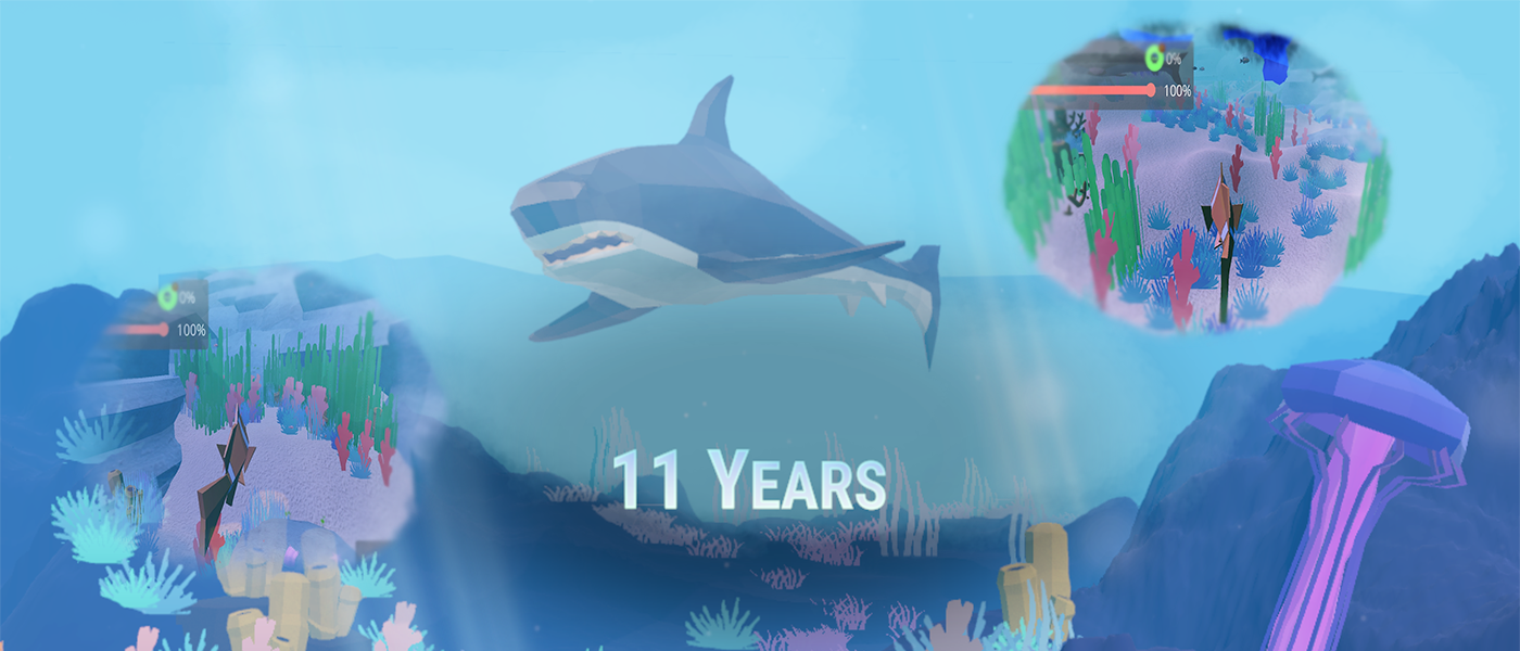 11 Years