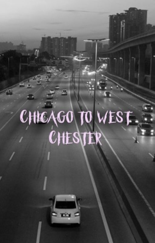 Chicago to west Chester (bam margera x reader) by shadowstorm02