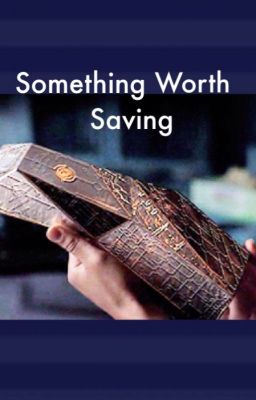 Something Worth Saving cover