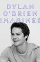 Dylan O'Brien Imagines by twpetal