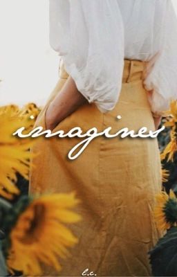 IMAGINES. cover