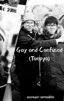 Gay and Confused (Taepyo) cover