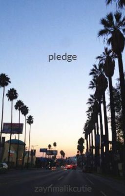 pledge cover