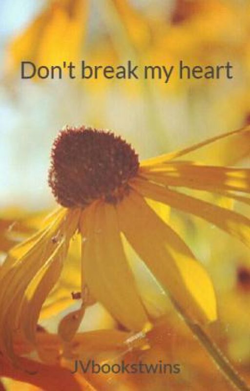 Don't break my heart by JVbookstwins