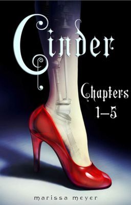 Cinder cover