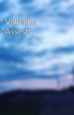 Valuable Assests cover