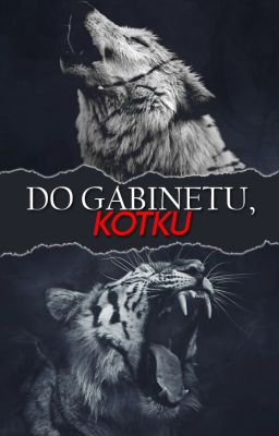 Do gabinetu, kotku cover