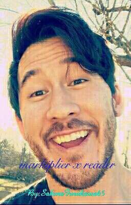 markiplier x reader  cover