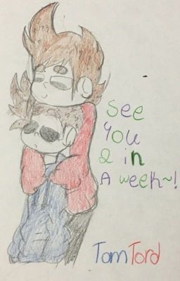 TomTord Fanfic - See you two in a week cover