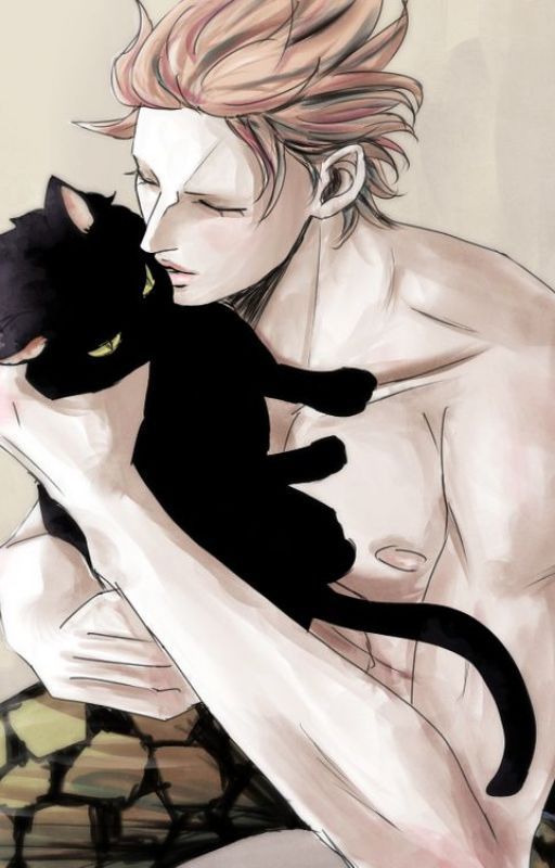 Feel my pain, kitten! Eustass Kid x Reader One - Shot by Yomimio