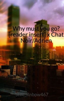 Why must you go? [reader insert] x Chat Noir/Adrien (FINISHED) cover