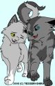 Dovewing and Bumblestripe - A family-And how Dovewing's kits grow-up. by Awesome_Girl_279