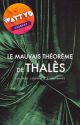 Le mauvais théorème de Thalès by larmesmauves