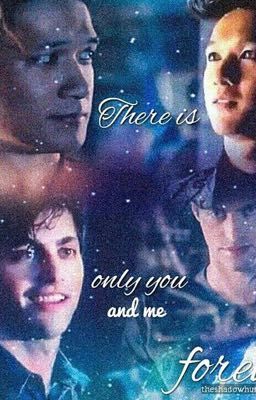 Malec one-shots sometimes chapters  cover