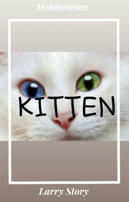 ○Kitten○ Larry Stylinson  cover