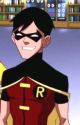 Young justice robin x reader: bird love  by lilah505