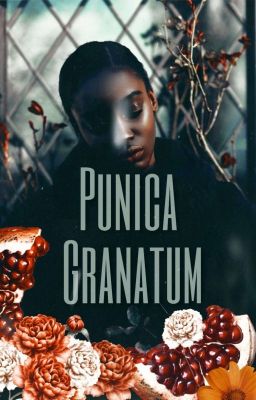 Punica Granatum cover