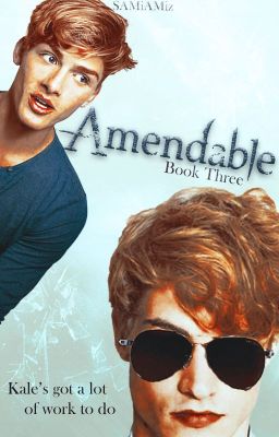 OLD VERSION: Amendable (Book 3 in the Original SOCIETY Series) ✔ cover