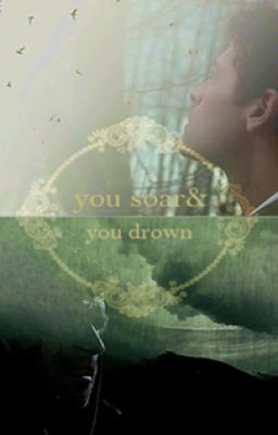 You Soar & You Drown (Destiel AU) cover