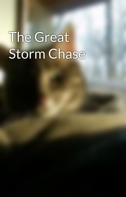 The Great Storm Chase by flying2infinity