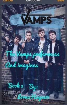 The Vamps Preferences and Imagines Book Two cover