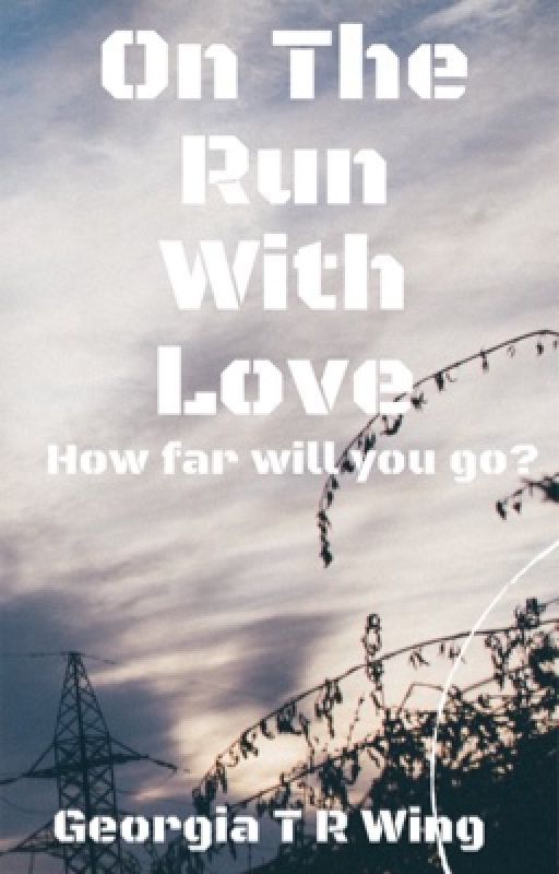 On The Run With Love (Book 1 Of Running Series) by Wingerz17