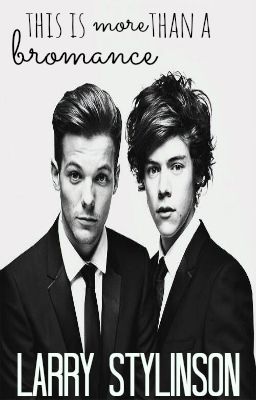 This Is More Than A Bromance: Larry Stylinson cover