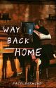 Way Back Home by FacelessMind