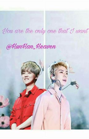 Le Miracle D'Avril by HunHan_Heaven