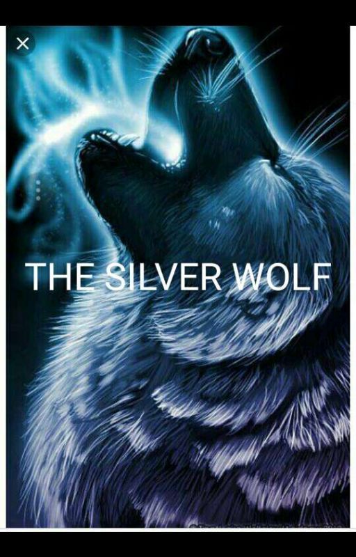 THE SILVER WOLF by YolzDumieDumzana