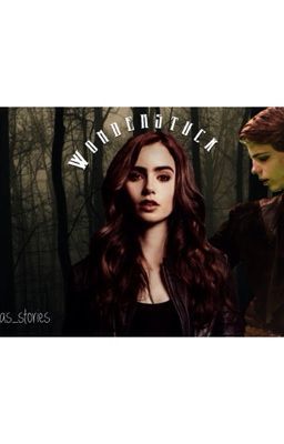 Wonderstruck [OUAT Fanfic] cover