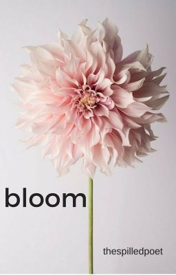 Bloom (Malec) cover