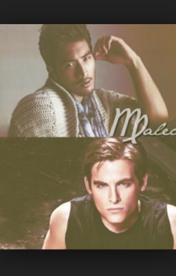 Mortal Instruments Malec Fanfiction cover