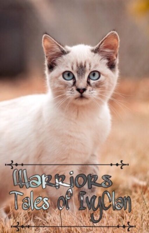 Warriors: Tales of IvyClan by partially_gay_fans