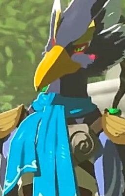 Wings Of Destiny ~ BOTW Champion Revali Fanfic cover