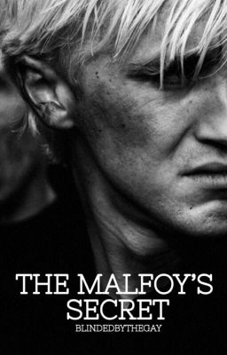 The Malfoy's Secret cover