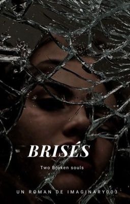 Brisés ( terminé ) cover