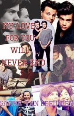 My Love For You Will Never End || Larry Stylinson (a little story) [AFGELOPEN] cover