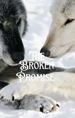 The Broken Promise  cover