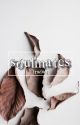 soulmates | dramione [✓] by irwinq