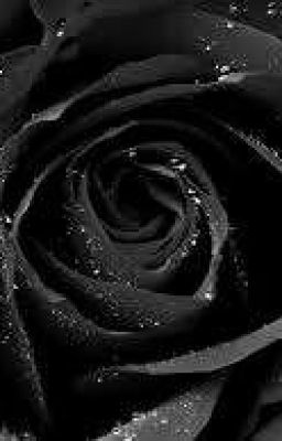 The black rose (Creepypasta~reader)  cover