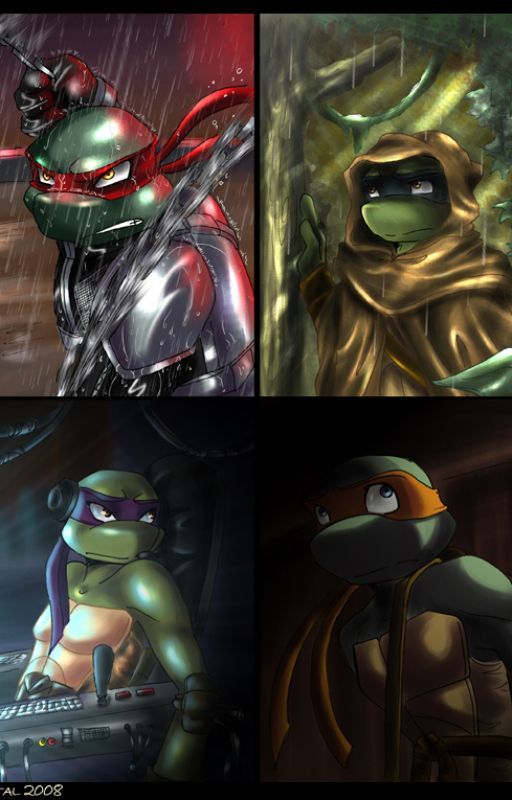 The Four Turtles And The Three Girls. (A Oc X Tmnt Fanfiction) by sanata101