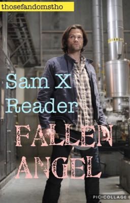 Fallen Angel||Sam Winchester X Reader cover