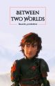 Between Two Worlds (Older Hiccup x reader) COMPLETED by damlawrites