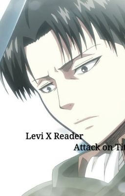 || Levi X Reader || 💟 || Attack on Titan FF || cover