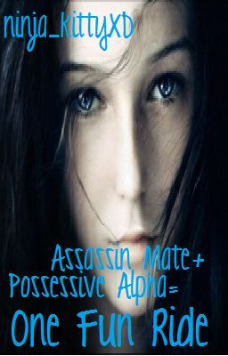 Assassin Mate   Possessive Alpha = One Fun Ride cover