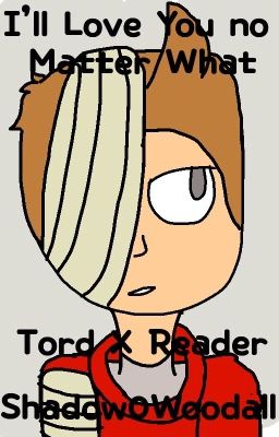 I'll love you no matter what (Tord X Reader)  DISCONTINUED cover