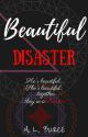 BEAUTIFUL DISASTER by AnnaLizaBurce