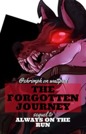 The Forgotten Journey (Always On The Run SEQUEL) by shrimph