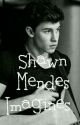 Shawn Mendes Imagines by AvoidingDoomDays